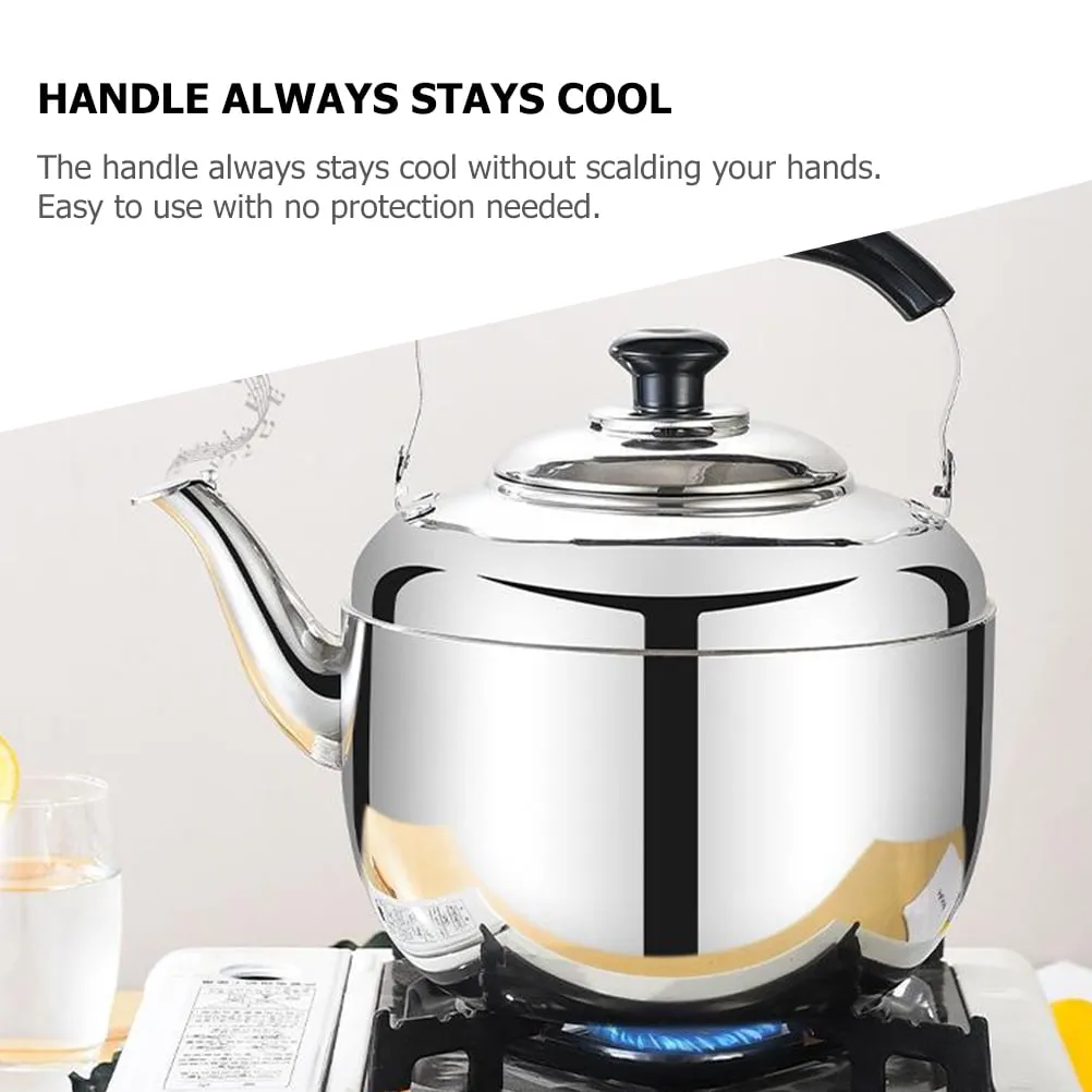 2 Count Portable Stove Stainless Steel Tea Pots Kettle Home Accents Decor Buzzing Sheep Water Boiler