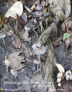 Barry Rothstein, Phantograms From Nature 3D Book