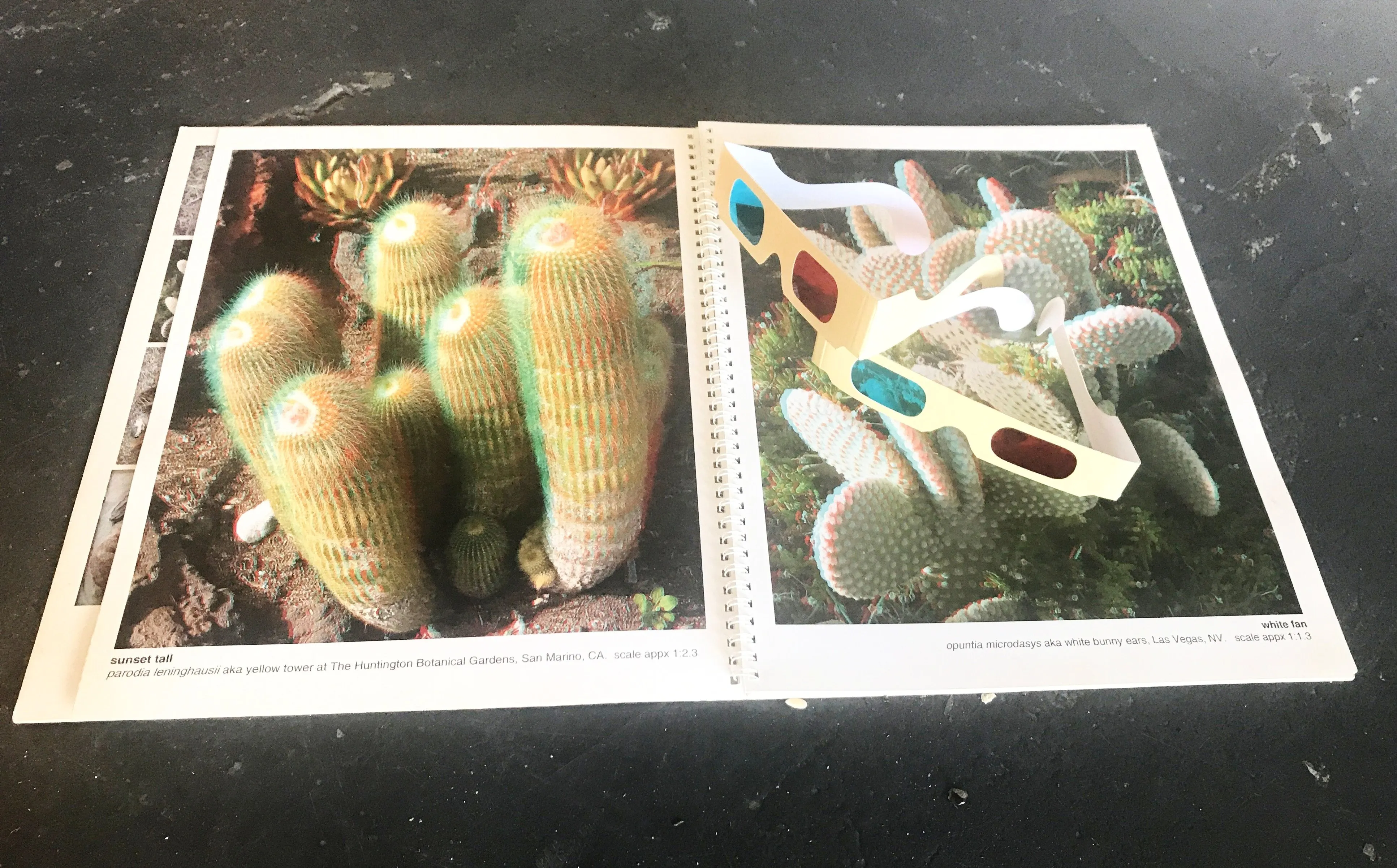 Barry Rothstein, Phantograms From Nature 3D Book