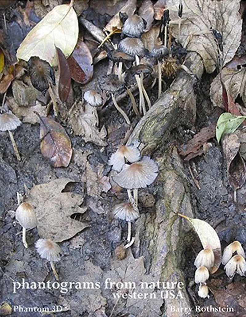 Barry Rothstein, Phantograms From Nature 3D Book