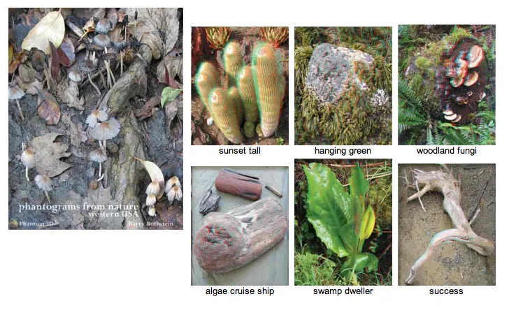 Barry Rothstein, Phantograms From Nature 3D Book