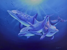 Dolphin Magic - First in Series