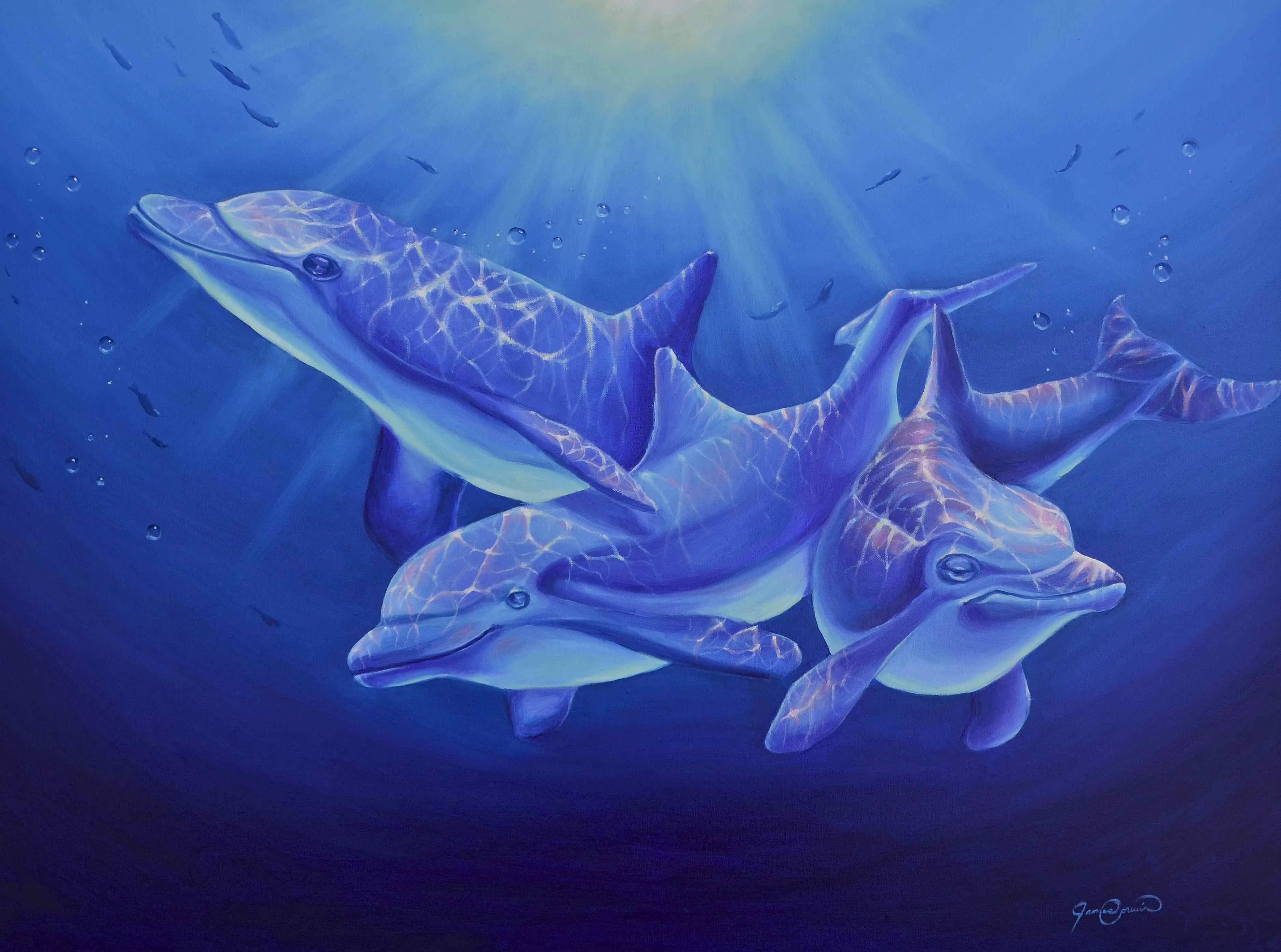 Dolphin Magic - First in Series