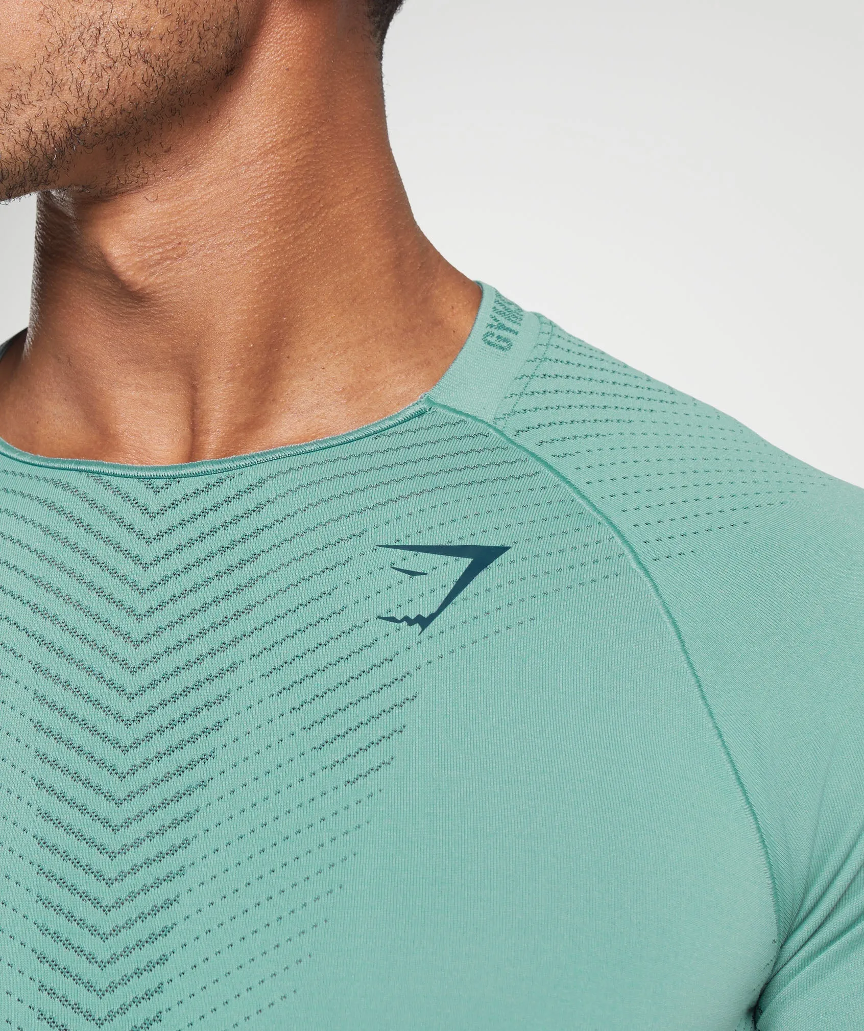 Gymshark Apex Seamless T-Shirt - Duck Egg Blue/Smokey Teal