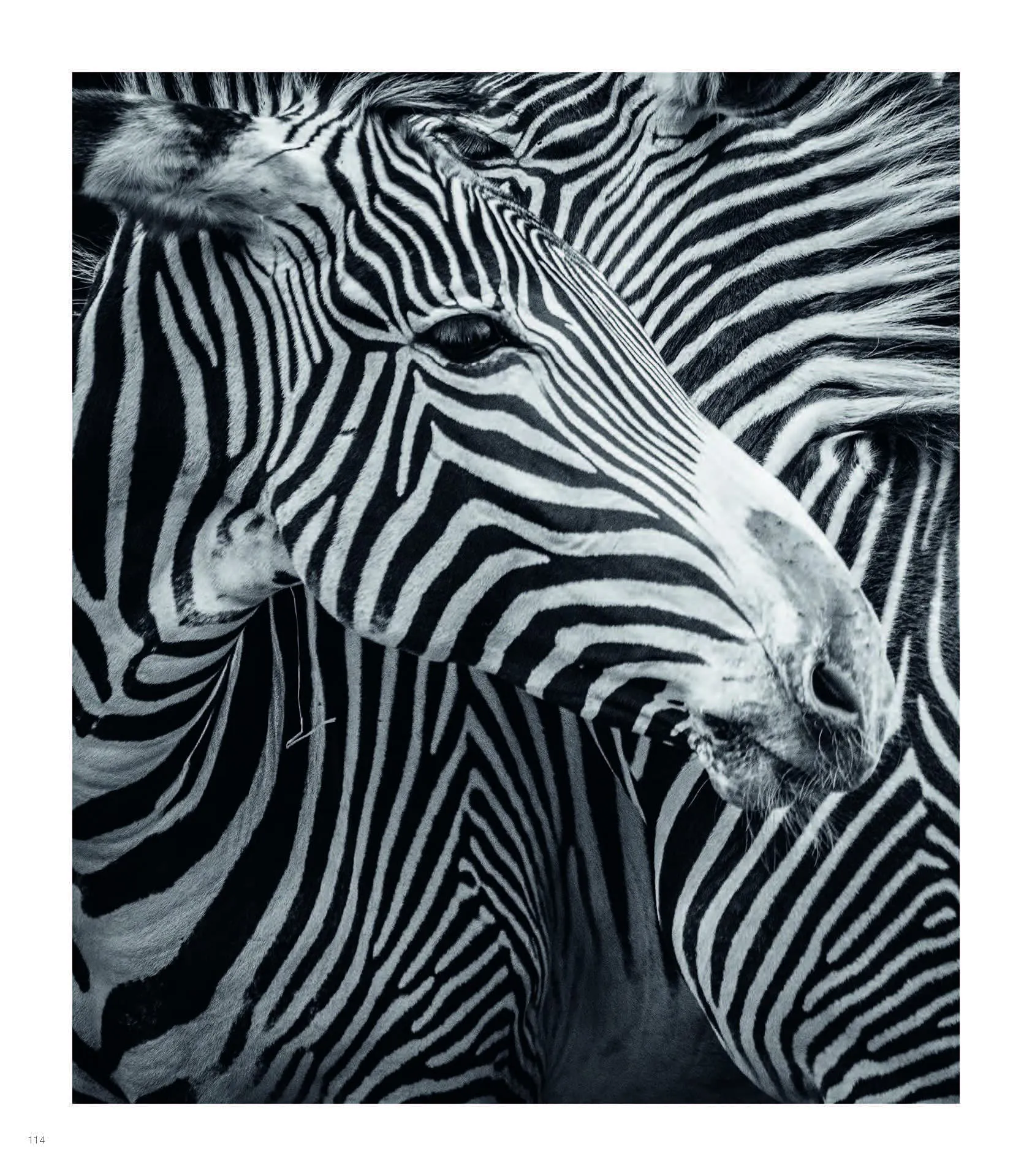 Wild World: Nature Through An Autistic Eye